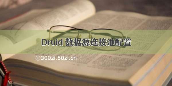 Druid 数据源连接池配置