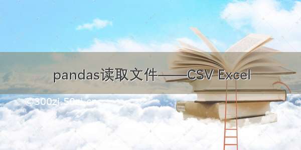 pandas读取文件——CSV Excel