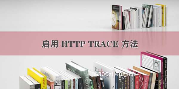 启用 HTTP TRACE 方法