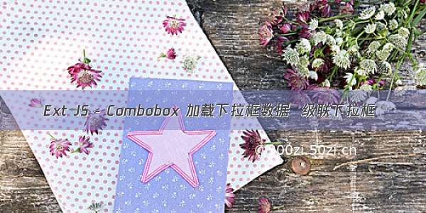 Ext JS - Combobox 加载下拉框数据  级联下拉框