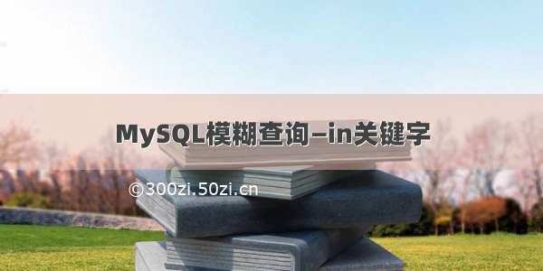 MySQL模糊查询—in关键字