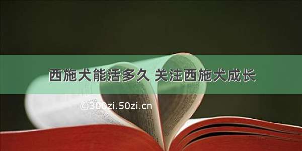 西施犬能活多久 关注西施犬成长