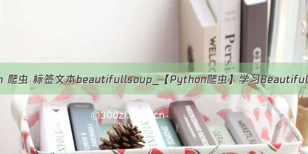 python 爬虫 标签文本beautifullsoup_【Python爬虫】学习BeautifulSoup