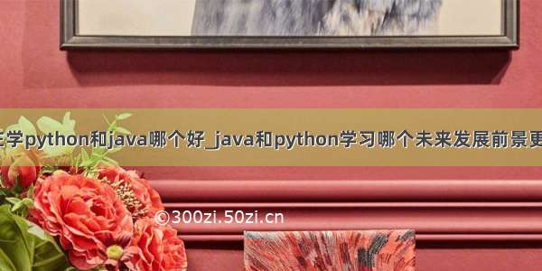 现在学python和java哪个好_java和python学习哪个未来发展前景更好？