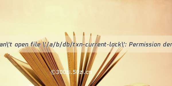 svn: Can\'t open file \'/a/b/db/txn-current-lock\': Permission denied