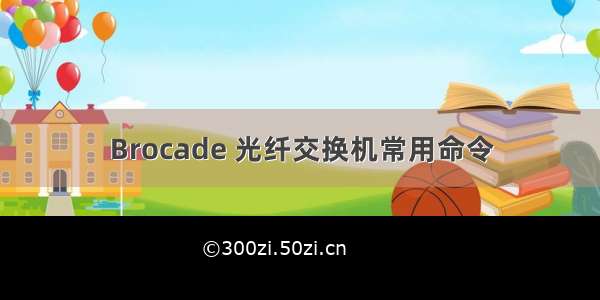 Brocade 光纤交换机常用命令