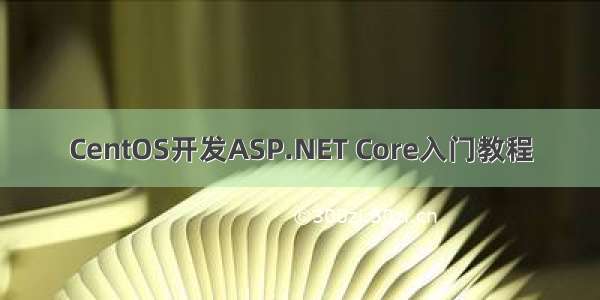 CentOS开发ASP.NET Core入门教程