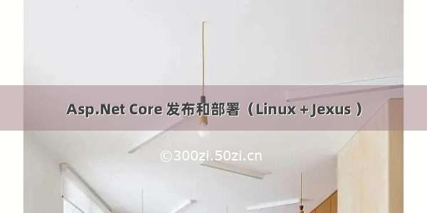 Asp.Net Core 发布和部署（Linux + Jexus ）