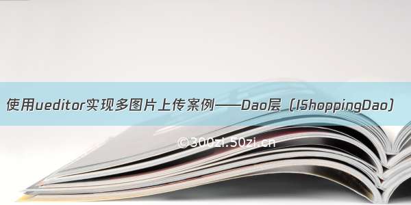 使用ueditor实现多图片上传案例——Dao层（IShoppingDao）