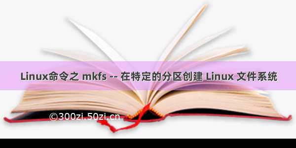 Linux命令之 mkfs -- 在特定的分区创建 Linux 文件系统