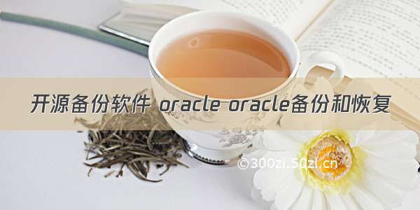 开源备份软件 oracle oracle备份和恢复