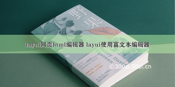 layui网页html编辑器 layui使用富文本编辑器