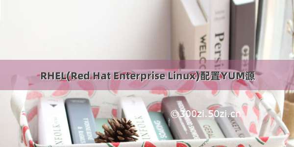 RHEL(Red Hat Enterprise Linux)配置YUM源