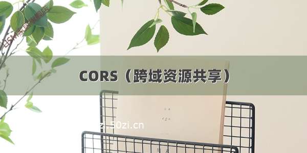 CORS（跨域资源共享）