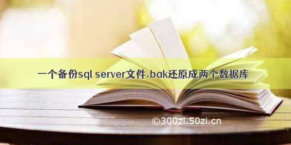 一个备份sql server文件.bak还原成两个数据库