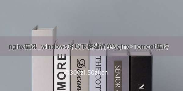 nginx集群_windows环境下搭建简单Nginx+Tomcat集群
