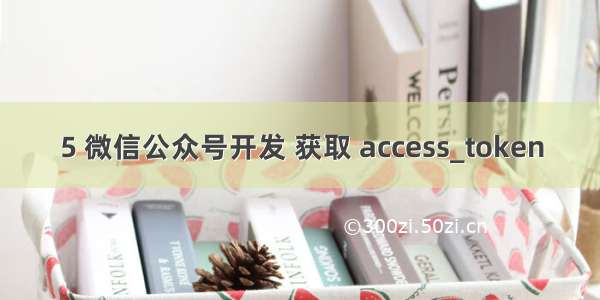 5 微信公众号开发 获取 access_token