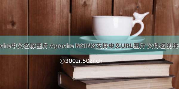 linux apache中文名称图片 Apache NGINX支持中文URL图片 文件名的终极解决方案