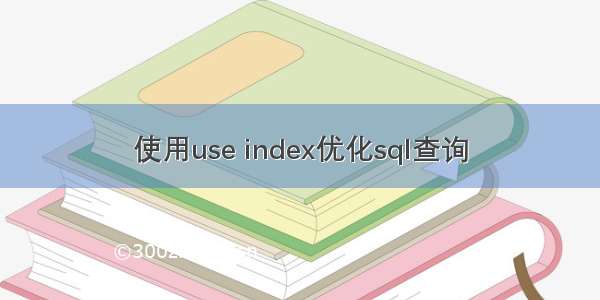 使用use index优化sql查询