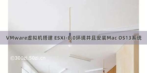 VMware虚拟机搭建 ESXI-8.0环境并且安装Mac OS13系统