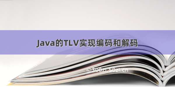 Java的TLV实现编码和解码