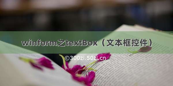 winform之textBox（文本框控件）