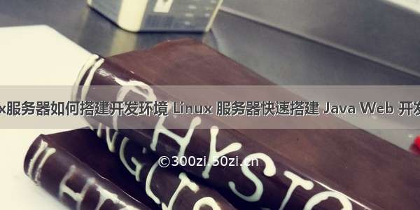 Linux服务器如何搭建开发环境 Linux 服务器快速搭建 Java Web 开发环境