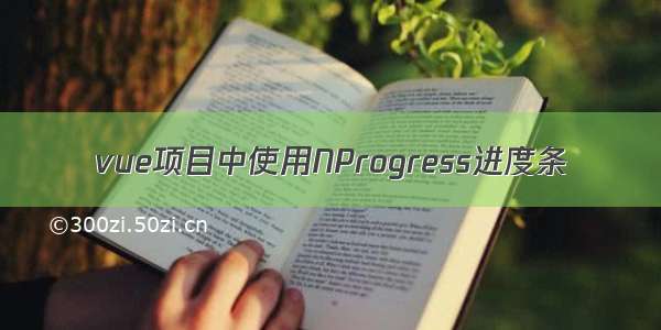 vue项目中使用NProgress进度条