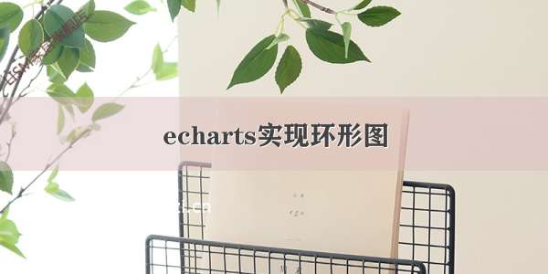 echarts实现环形图