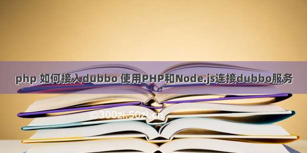 php 如何接入dubbo 使用PHP和Node.js连接dubbo服务