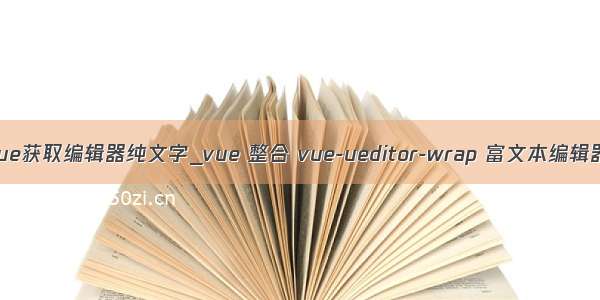 vue获取编辑器纯文字_vue 整合 vue-ueditor-wrap 富文本编辑器