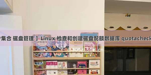 【Shell 命令集合 磁盘管理 】Linux 检查和创建磁盘配额数据库 quotacheck命令使用教程