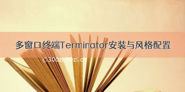 多窗口终端Terminator安装与风格配置