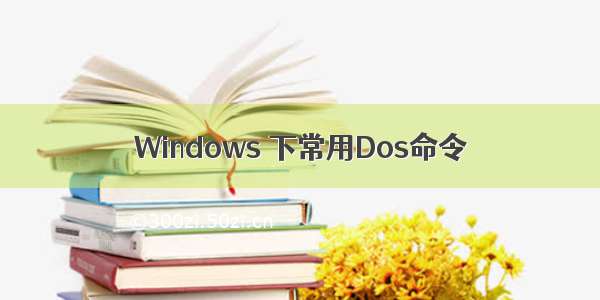 Windows 下常用Dos命令