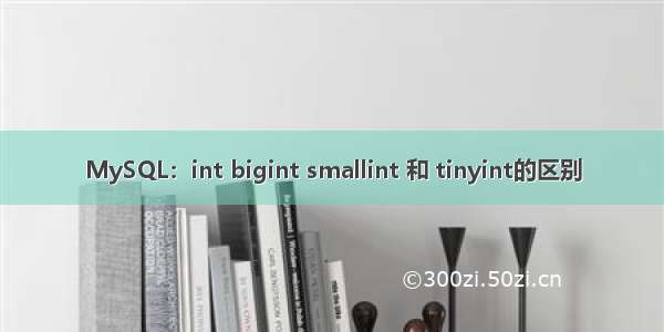 MySQL：int bigint smallint 和 tinyint的区别