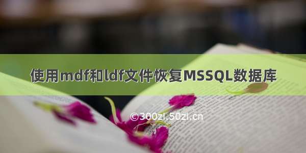 使用mdf和ldf文件恢复MSSQL数据库