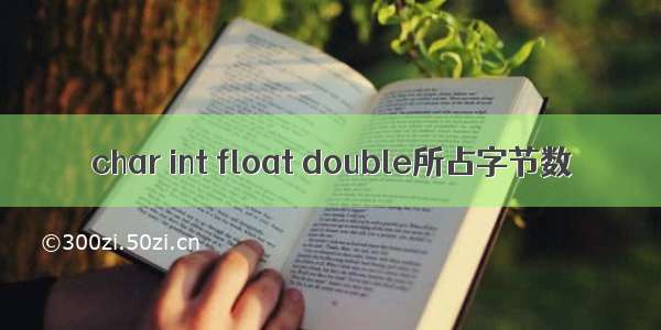 char int float double所占字节数