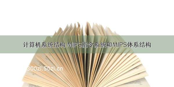 计算机系统结构 MIPS指令系统和MIPS体系结构