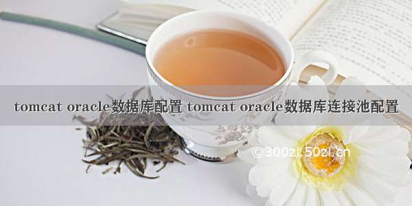 tomcat oracle数据库配置 tomcat oracle数据库连接池配置