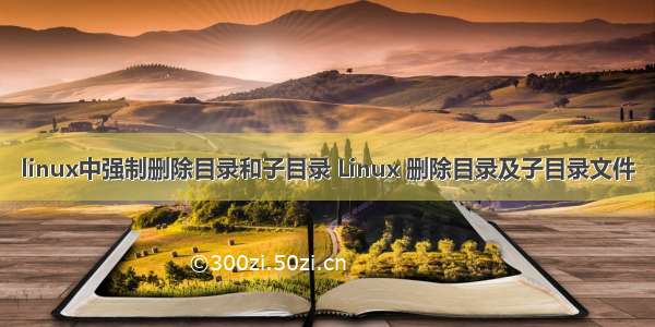 linux中强制删除目录和子目录 Linux 删除目录及子目录文件