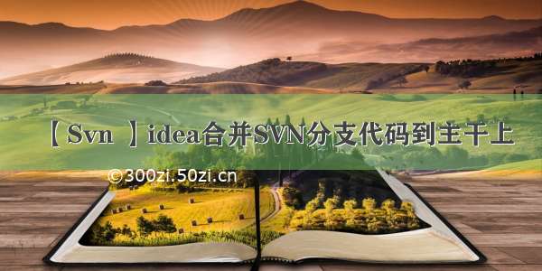 【Svn 】idea合并SVN分支代码到主干上