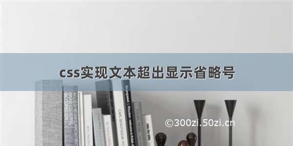 css实现文本超出显示省略号