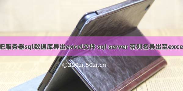 把服务器sql数据库导出excel文件 sql server 带列名导出至excel