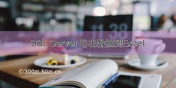 SQL Server 导出数据到Excel