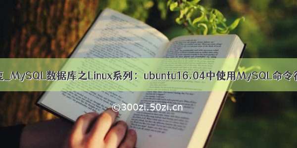 ubuntu下mysql数据恢复_MySQL数据库之Linux系列：ubuntu16.04中使用MySQL命令行备份及恢复数据库...