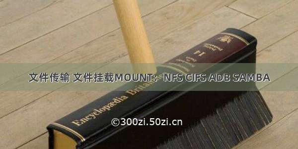 文件传输 文件挂载MOUNT：NFS CIFS ADB SAMBA