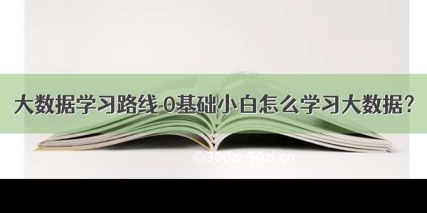 大数据学习路线 0基础小白怎么学习大数据？