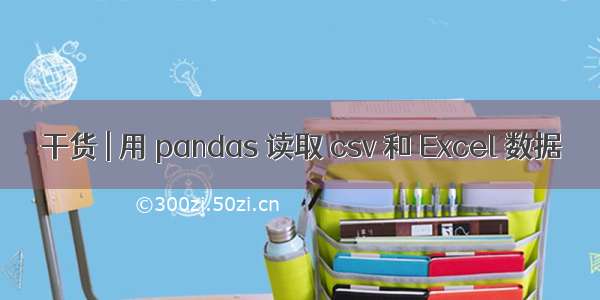 干货 | 用 pandas 读取 csv 和 Excel 数据