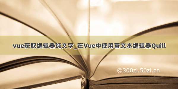 vue获取编辑器纯文字_在Vue中使用富文本编辑器Quill