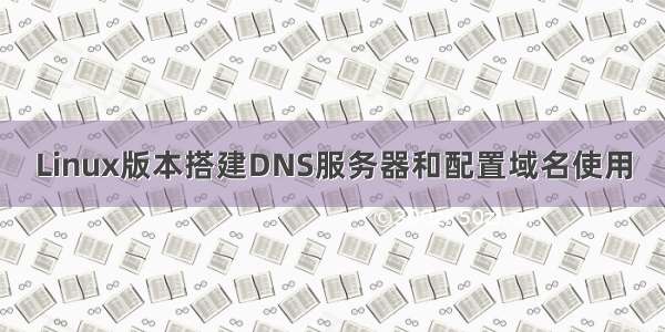 Linux版本搭建DNS服务器和配置域名使用